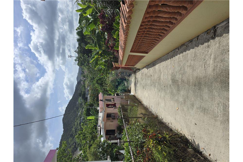 Villa - For Sale - Cayey, Cayey, Puerto Rico - 3 - 90102025-339