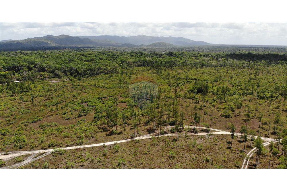 Land - For Sale - Georgetown, Stann Creek District, Belize - 1 - 901911013-56