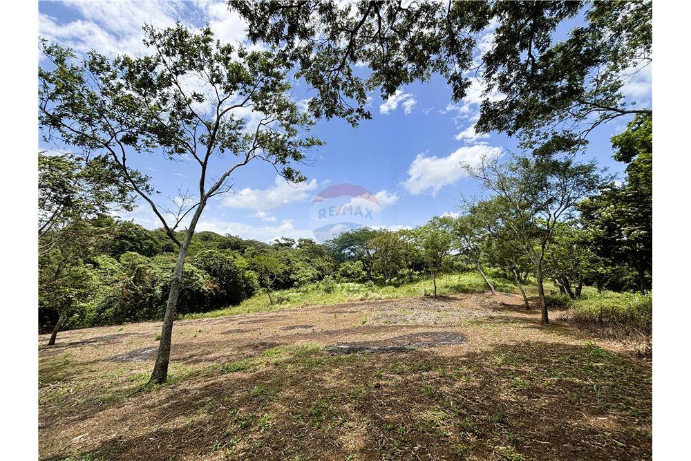Lote - Venta - Dolores, Carazo, Nicaragua - 2 - 902521001-24