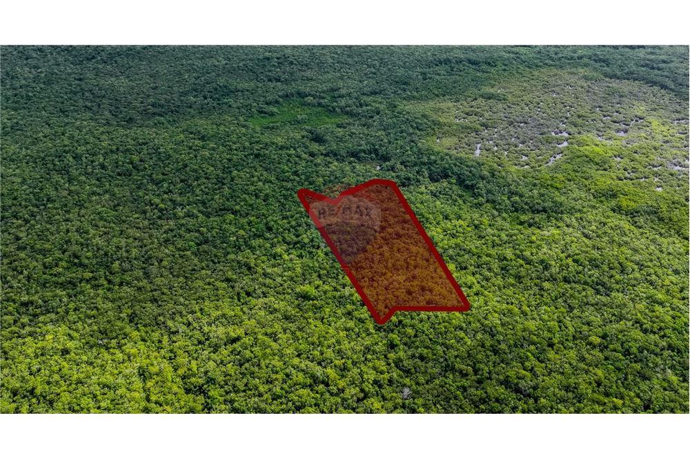 Grondstuk - Te Koop - North Side, Grand Cayman, Cayman Islands - 2 - 90146046-10