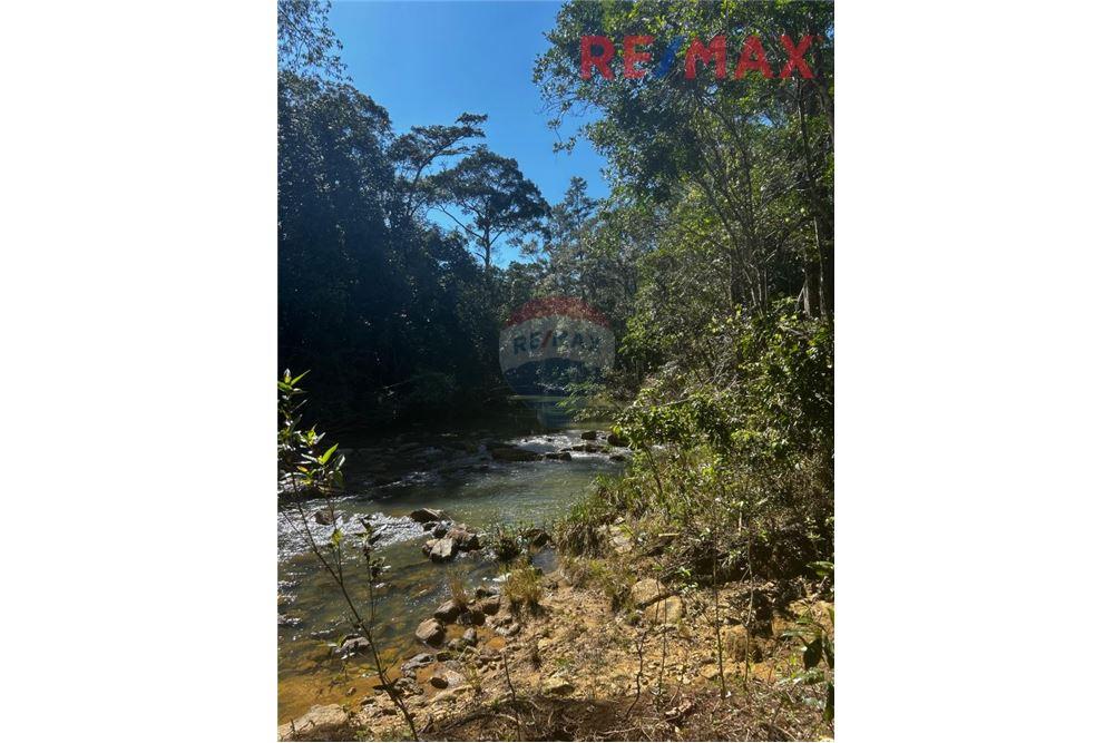 Lote - Venta - Poptún, Petén, Guatemala - 10 - 902691018-30