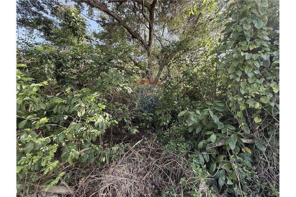 Land - For Sale - East End, Tortola, British Virgin Islands - 2 - 90134005-317