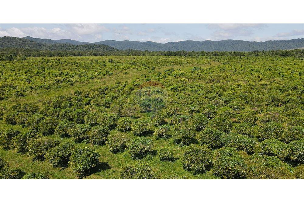 Sale of Business - For Sale - Silk Grass, Stann Creek District, Belize - 8 - 901911013-62