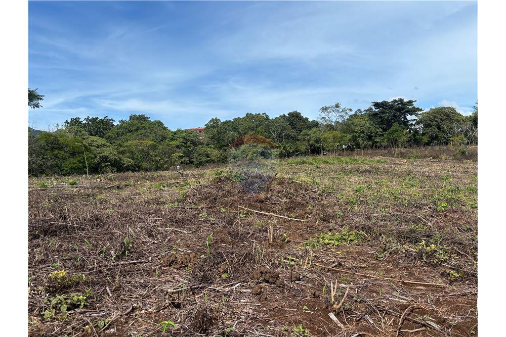 Land - For Sale - Atenas, Alajuela- Atenas, Costa Rica - 30 - 90128002-974