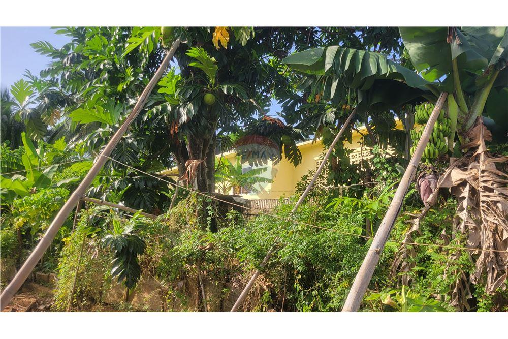 Villa - Te Koop - Linstead, Saint Catherine, Jamaica - 6 - 90153044-729