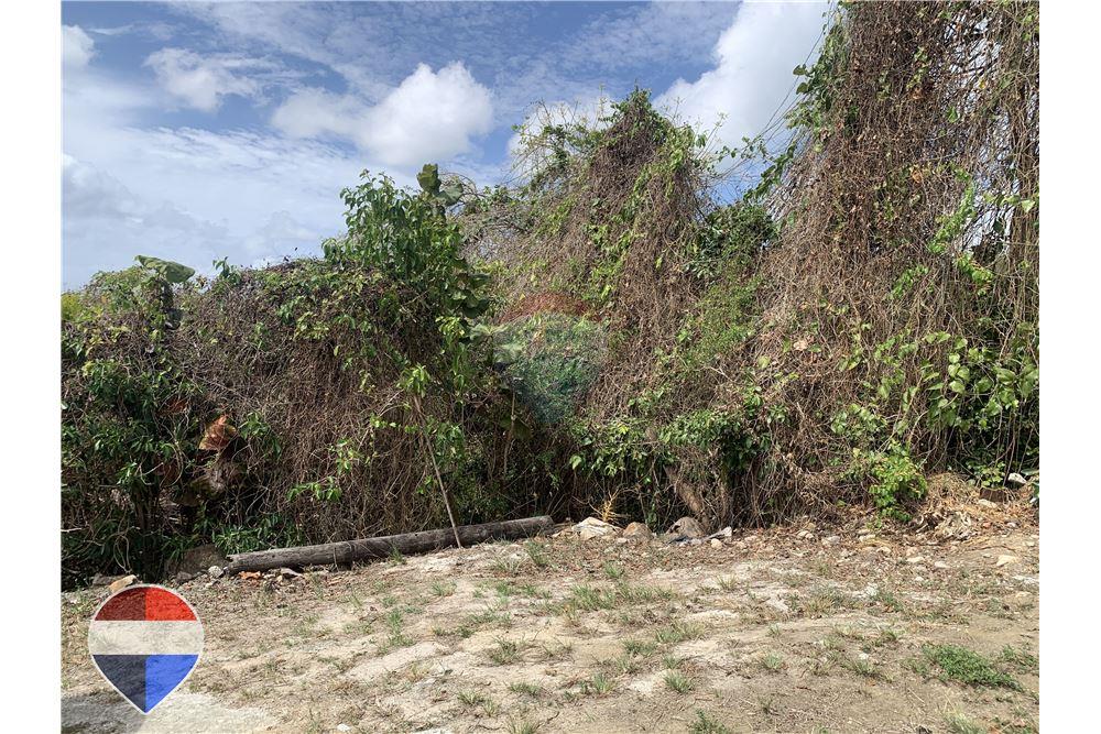 Grondstuk - Te Koop - Anse La Raye, Anse-la-Raye, St Lucia - 2 - 902071001-195