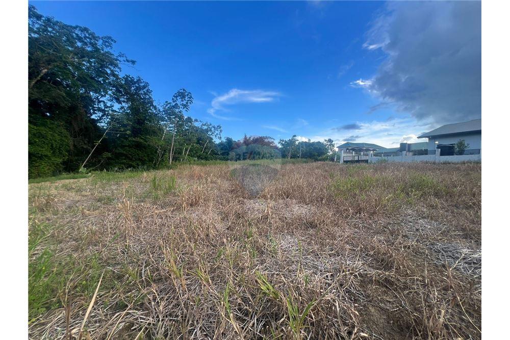 Grondstuk - Te Koop - Sangre Grande, Saint Andrew, Trinidad and Tobago - 3 - 90155092-96