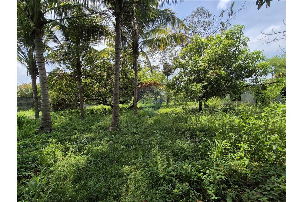 Land - For Sale - Retalhuleu, Retalhuleu, Guatemala - 22 - 902641002-6