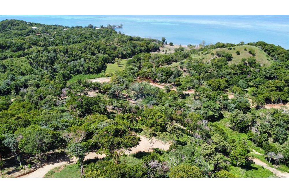 Land - For Sale - Roatan, Bay Islands, Honduras - 6 - 90143009-434