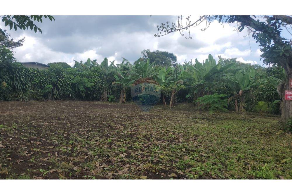Land - For Sale - Jinotepe, Carazo, Nicaragua - 2 - 902681003-18
