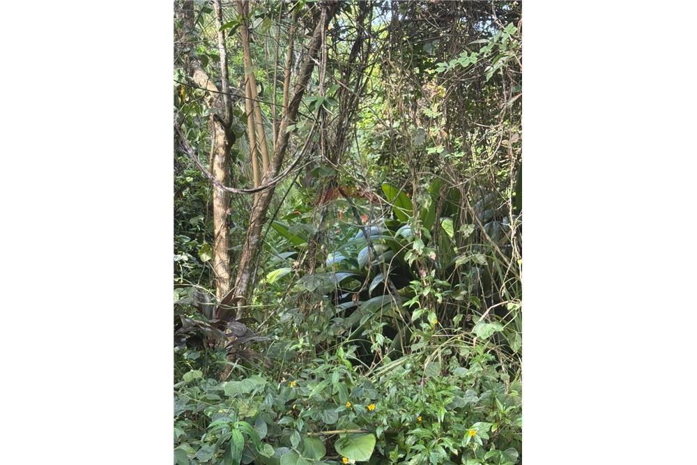 Land - For Sale - Bayamon, Bayamón, Puerto Rico - 8 - 90102070-4
