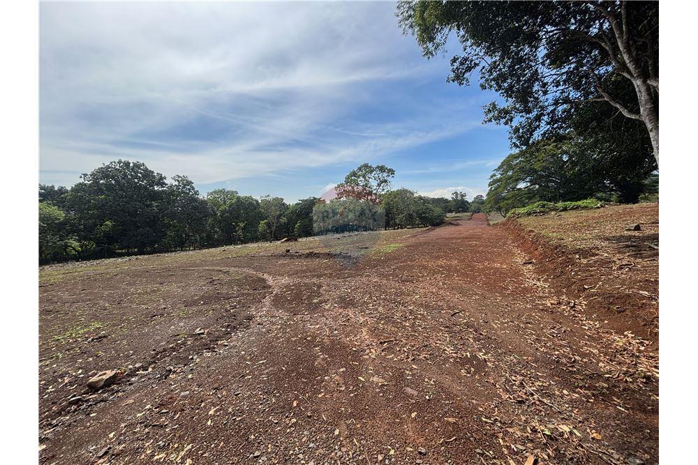 Land - For Sale - Atenas, Alajuela- Atenas, Costa Rica - 29 - 90128002-974