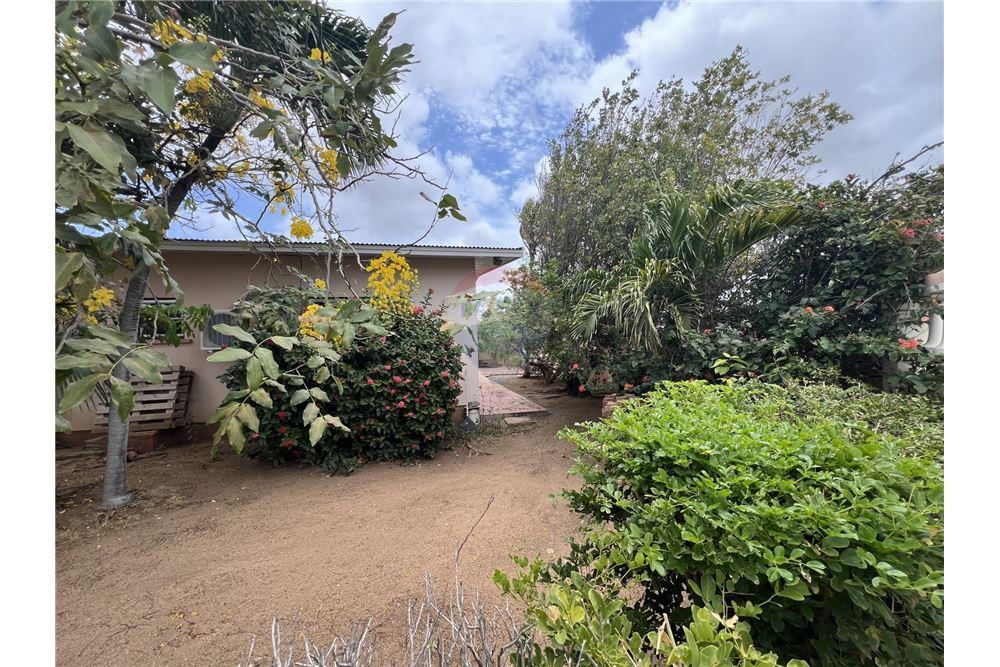 Villa - Te Koop - Oranjestad, Aruba, Aruba - 7 - 90105035-31