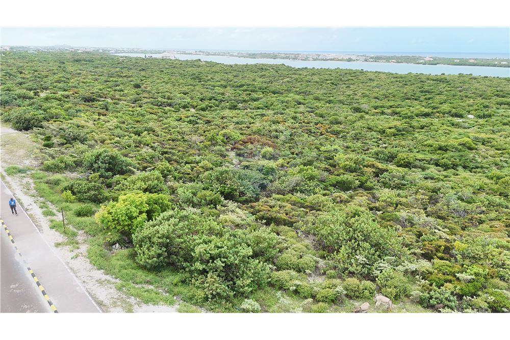 Land - For Sale - North Creek, Grand Turk, Turks and Caicos - 24 - 90111001-82