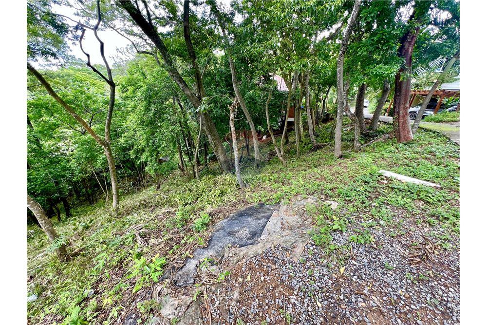 Land - For Sale - Roatan, Bay Islands, Honduras - 4 - 90143009-441