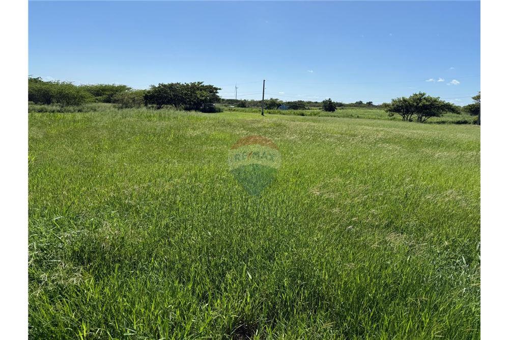 Land - For Sale - Santa Isabel, Santa Isabel, Puerto Rico - 3 - 90102054-25