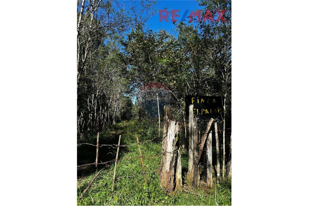 Lote - Venta - Poptún, Petén, Guatemala - 9 - 902691018-30