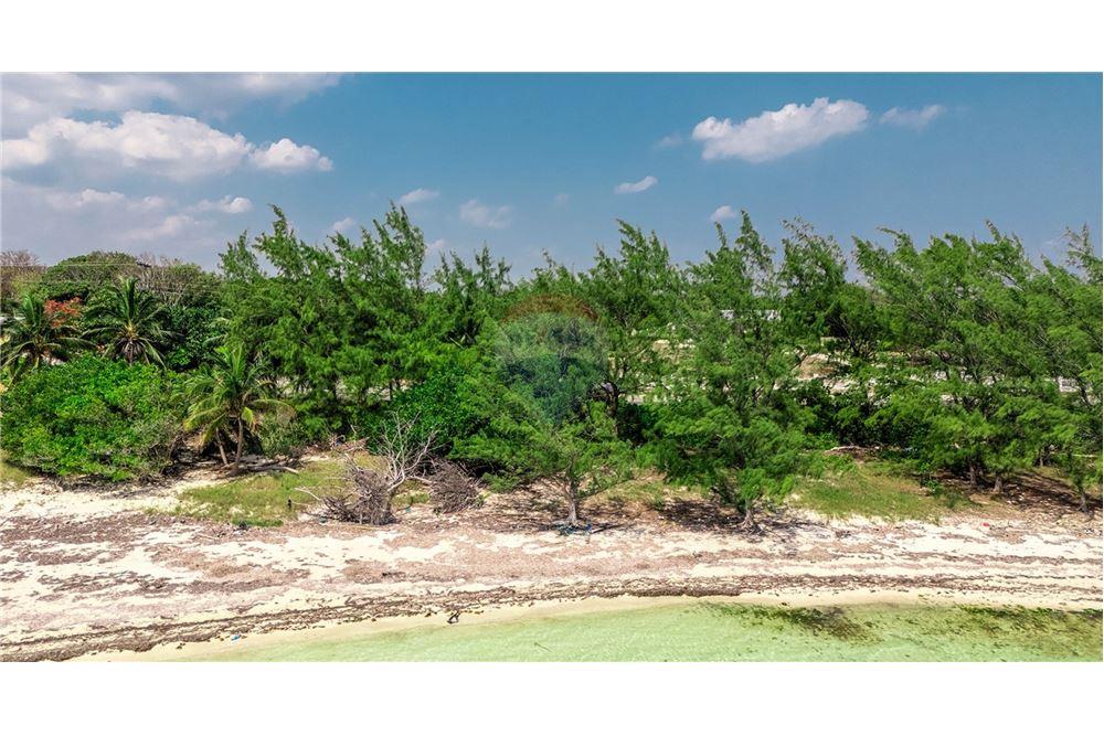 Land - For Sale - East End, East End, Cayman Islands - 7 - 90146052-10