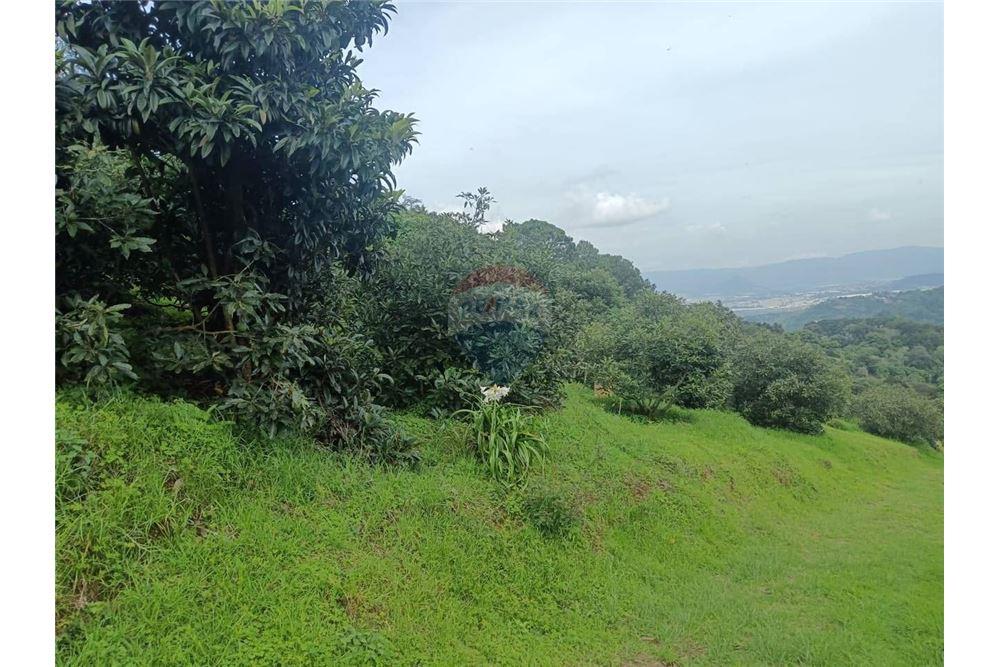 Land - For Sale - Santa Lucía Milpas Altas, Sacatepéquez, Guatemala - 2 - 90129016-43