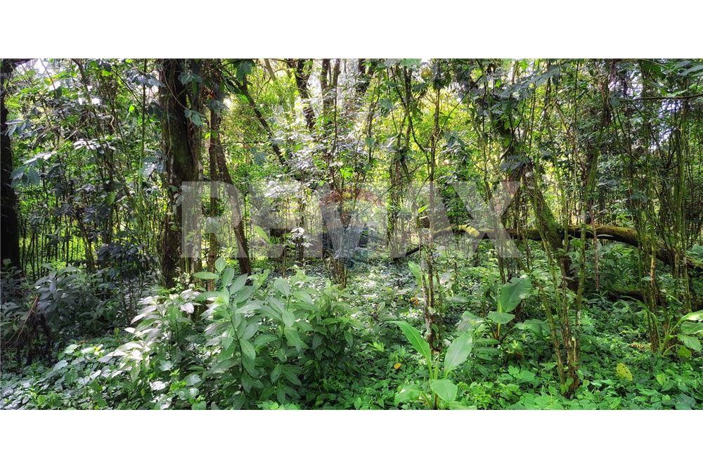 Land - For Sale - Santa Elena Barillas, Guatemala, Guatemala - 15 - 902091017-26