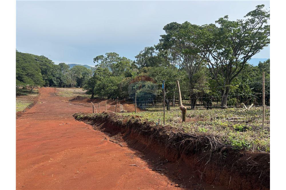 Land - For Sale - Atenas, Alajuela- Atenas, Costa Rica - 22 - 90128002-974