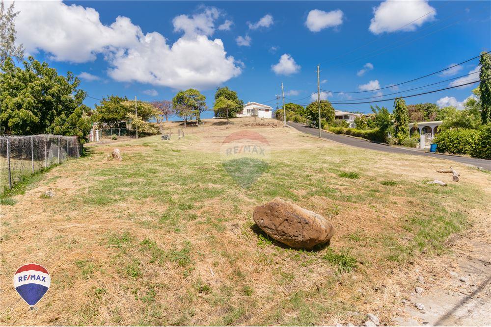 Land - For Sale - Lance aux Epines, Saint George, Grenada - 2 - 902581001-103