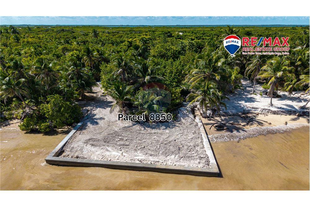 Land - For Sale - Ambergris Caye, Ambergris Caye, Belize - 3 - 90178006-57