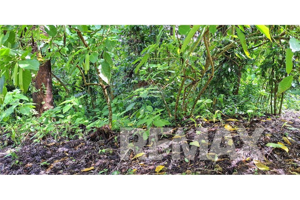 Land - For Sale - Santa Elena Barillas, Guatemala, Guatemala - 12 - 902091017-26