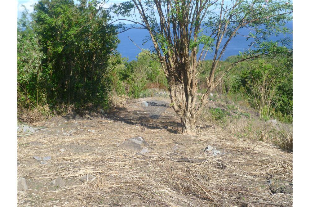 Land - For Sale - Anse La Verdure, Anse-la-Raye, St Lucia - 1 - 902071001-200