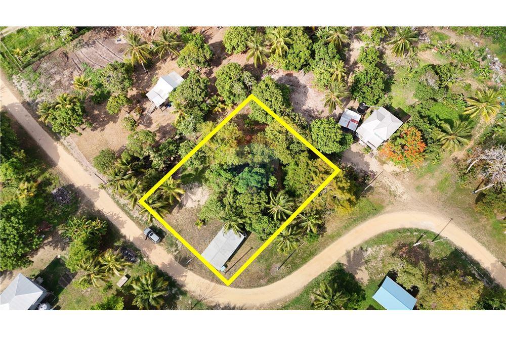 Land - For Sale - Riversdale, Stann Creek District, Belize - 2 - 901911003-394