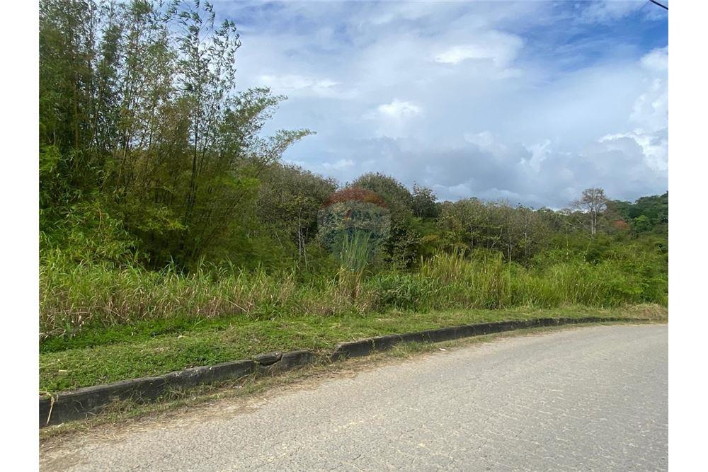 Lote - Venta - Tabaquite, Caroni, Trinidad and Tobago - 9 - 90155109-148