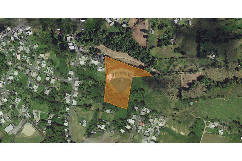 Villa - For Sale - Las Piedras, Las Piedras, Puerto Rico - 9 - 90102054-18