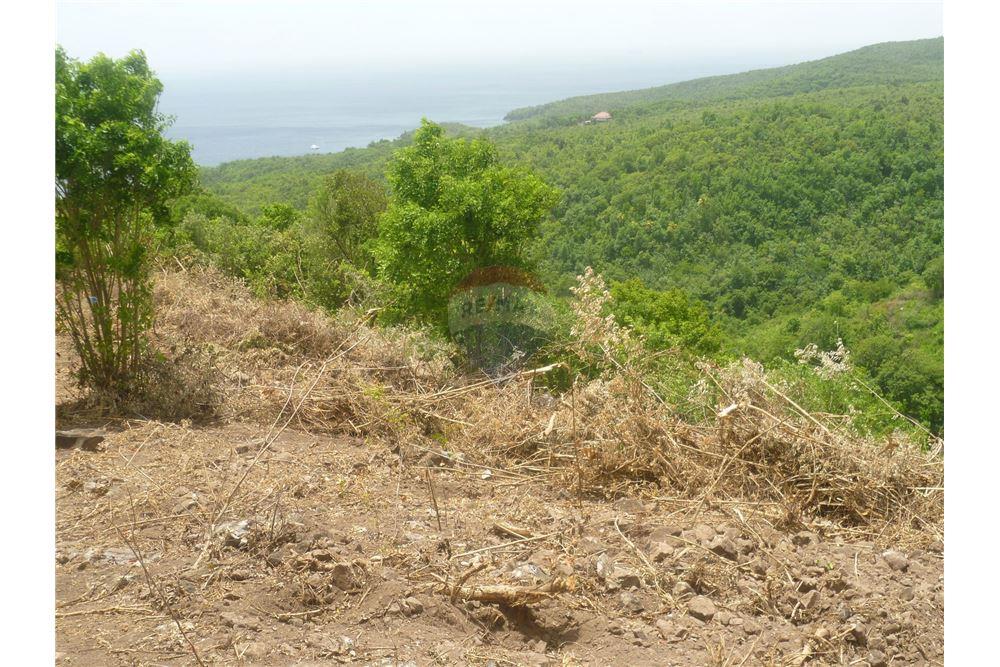 Land - For Sale - Anse La Verdure, Anse-la-Raye, St Lucia - 5 - 902071001-200