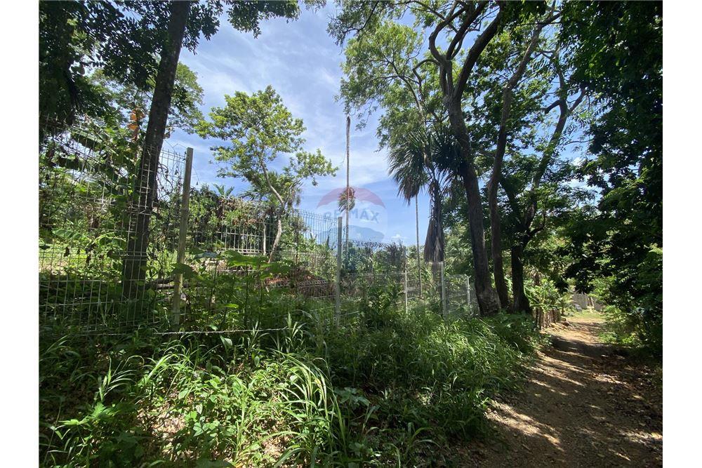 Land - For Sale - Utila, Bay Islands, Honduras - 6 - 90182002-606
