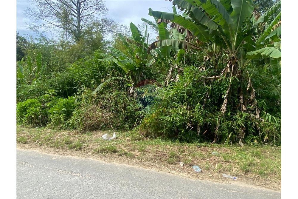 Lote - Venta - Tabaquite, Caroni, Trinidad and Tobago - 6 - 90155109-148
