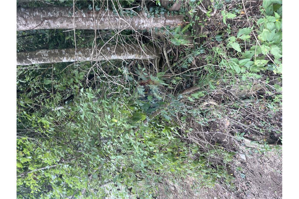 Grondstuk - Te Koop - Gros Islet, Gros-Islet, St Lucia - 4 - 902071001-213