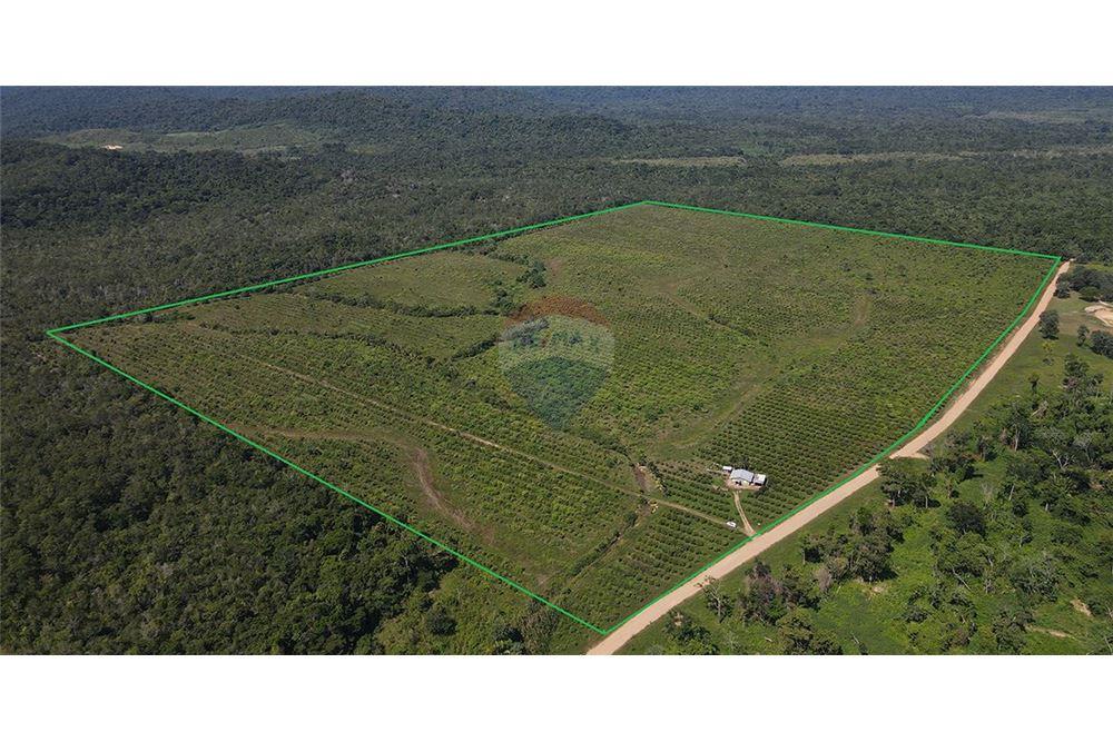 Sale of Business - For Sale - Silk Grass, Stann Creek District, Belize - 1 - 901911013-62