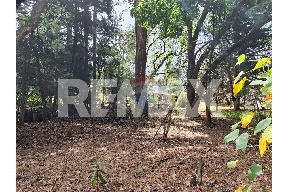 Land - For Sale - San Lucas Sacatepéquez, Sacatepéquez, Guatemala - 4 - 902091017-8