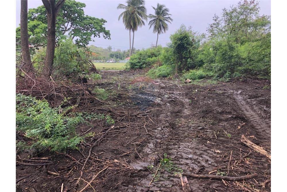 Land - For Sale - Arouca, Saint George, Trinidad and Tobago - 7 - 902551005-1