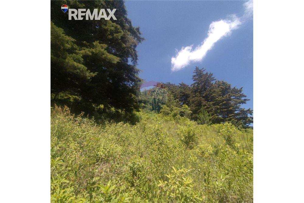 Land - For Sale - San José Pinula, Guatemala, Guatemala - 1 - 902611006-17