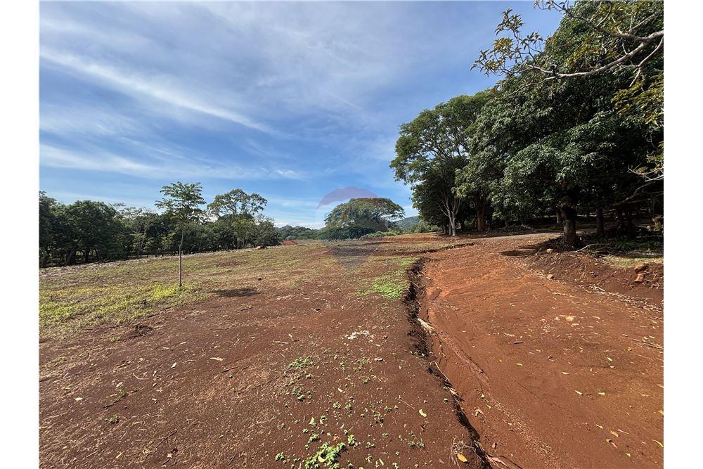Land - For Sale - Atenas, Alajuela- Atenas, Costa Rica - 15 - 90128002-974