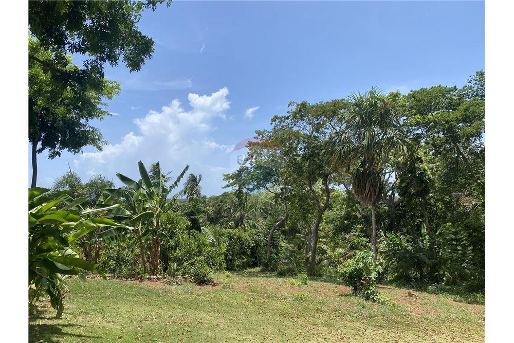 Land - For Sale - Utila, Bay Islands, Honduras - 8 - 90182002-607