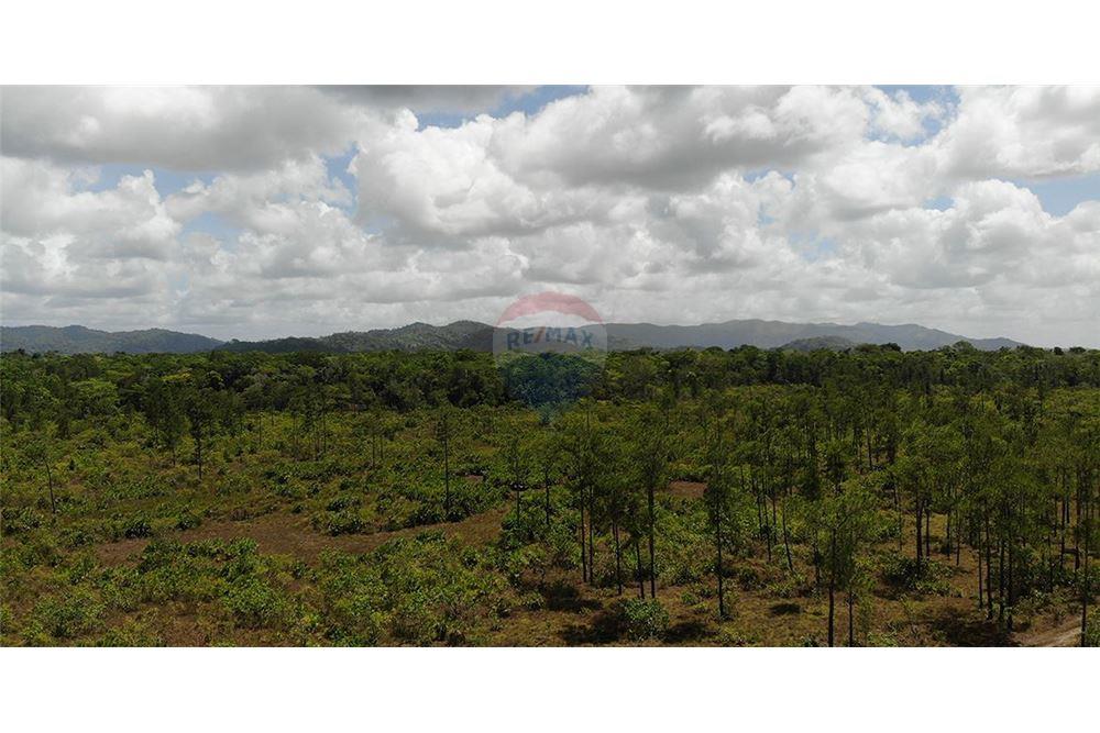 Land - For Sale - Georgetown, Stann Creek District, Belize - 3 - 901911013-56
