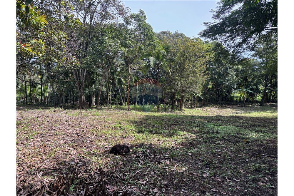 Land - For Sale - Atenas, Alajuela- Atenas, Costa Rica - 12 - 90128002-974