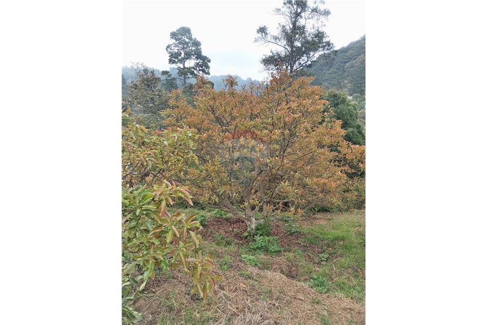 Land - For Sale - Santiago Sacatepéquez, Sacatepéquez, Guatemala - 4 - 902091002-88