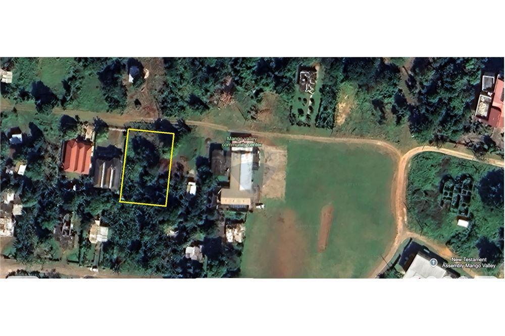 Lote - Venta - Boscobel, Saint Mary, Jamaica - 1 - 90153081-7