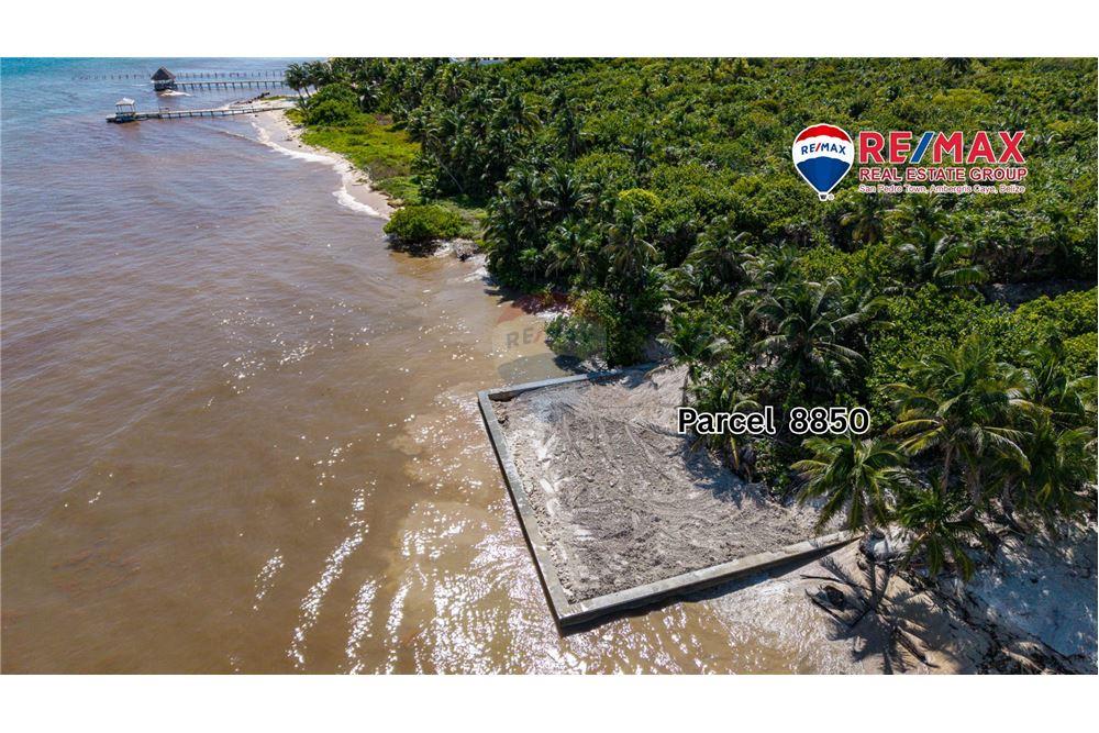 Land - For Sale - Ambergris Caye, Ambergris Caye, Belize - 6 - 90178006-57