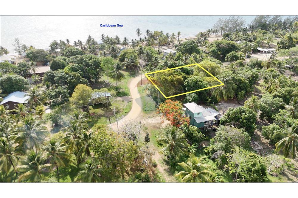 Land - For Sale - Riversdale, Stann Creek District, Belize - 1 - 901911003-394