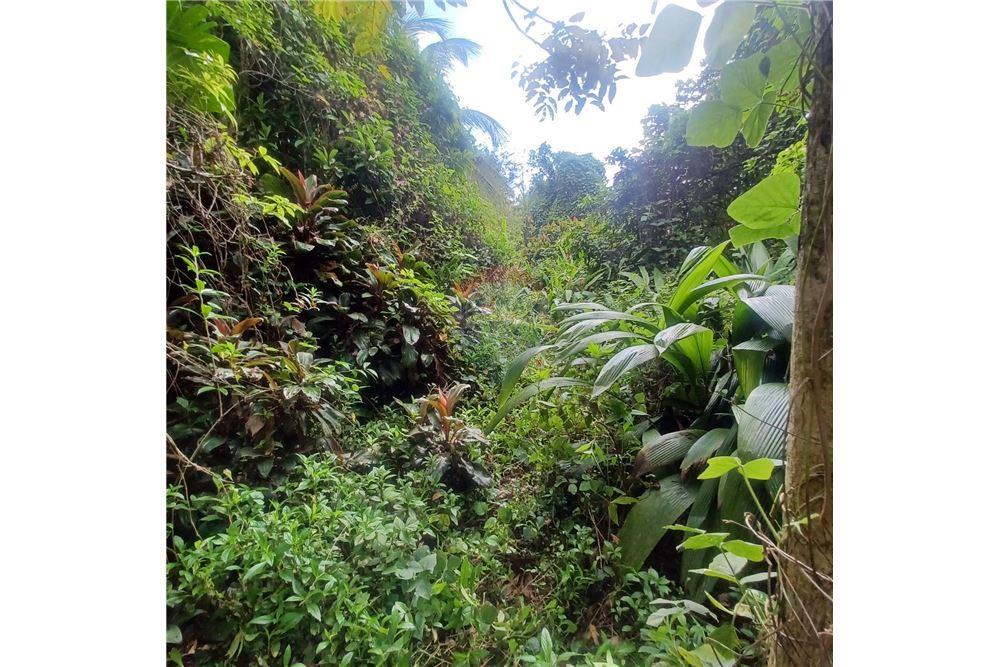 Land - For Sale - Bayamon, Bayamón, Puerto Rico - 3 - 90102070-4