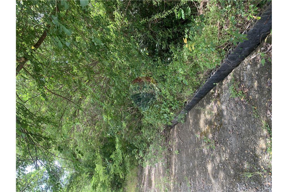 Grondstuk - Te Koop - Gros Islet, Gros-Islet, St Lucia - 8 - 902071001-212